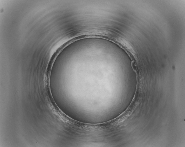 X0000089370928200707061110