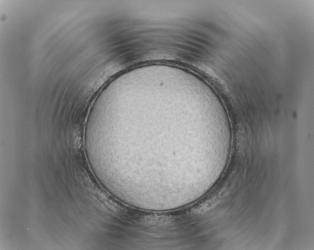 X0000089370929200707061110