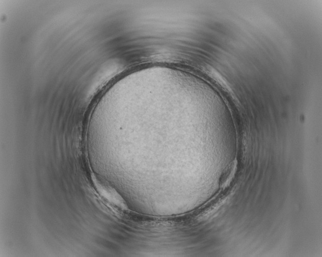 X0000089370930200707061110