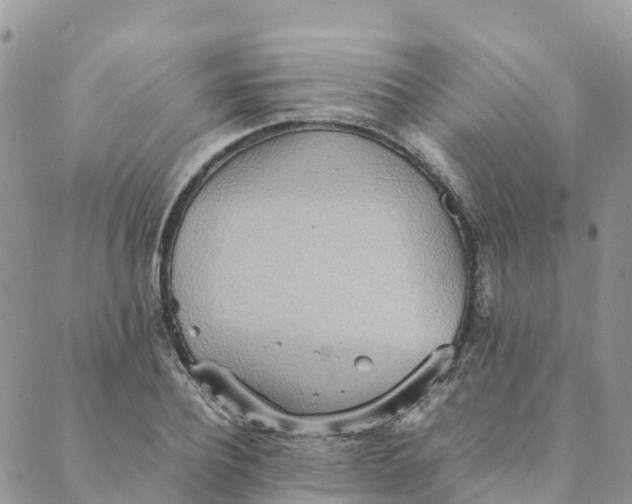 X0000089370932200707061110