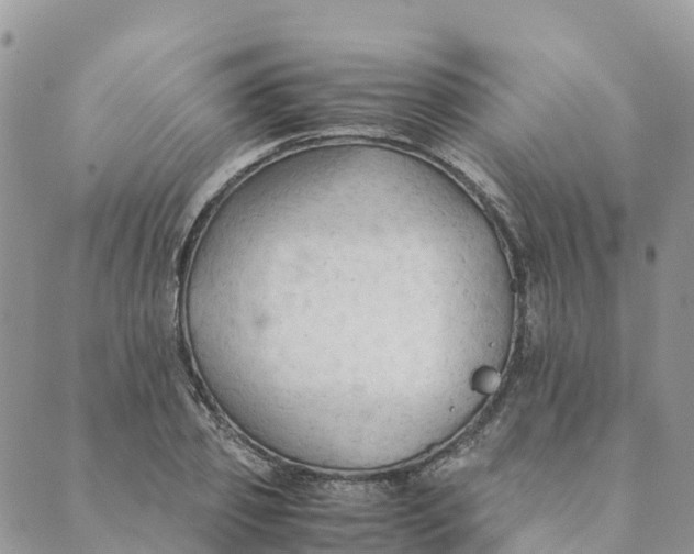 X0000089370933200707061110