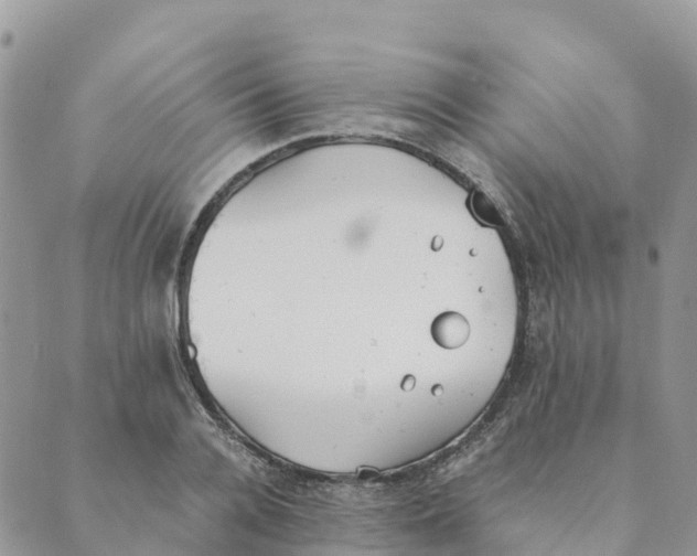 X0000089370936200707061110