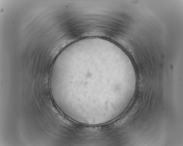 X0000089370937200707061110