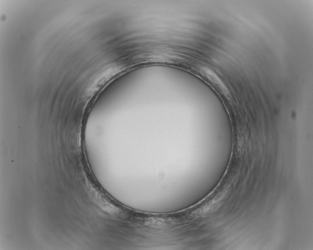 X0000089370938200707061110