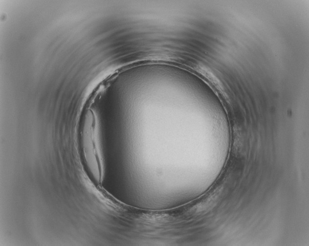 X0000089370939200707061111