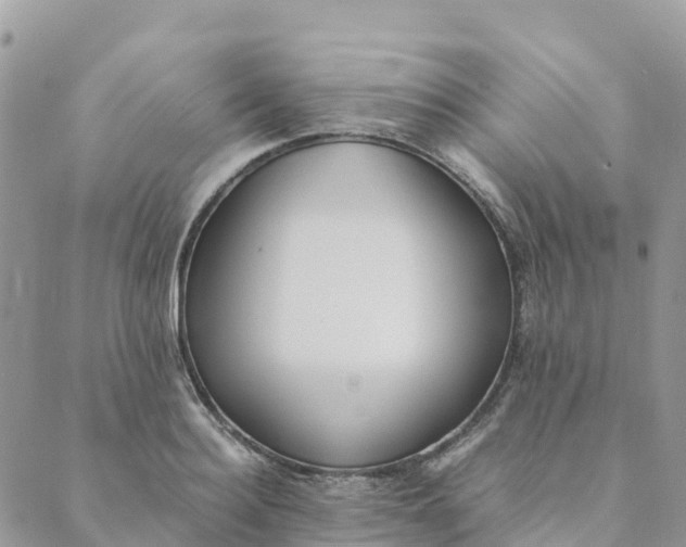 X0000089370940200707061111