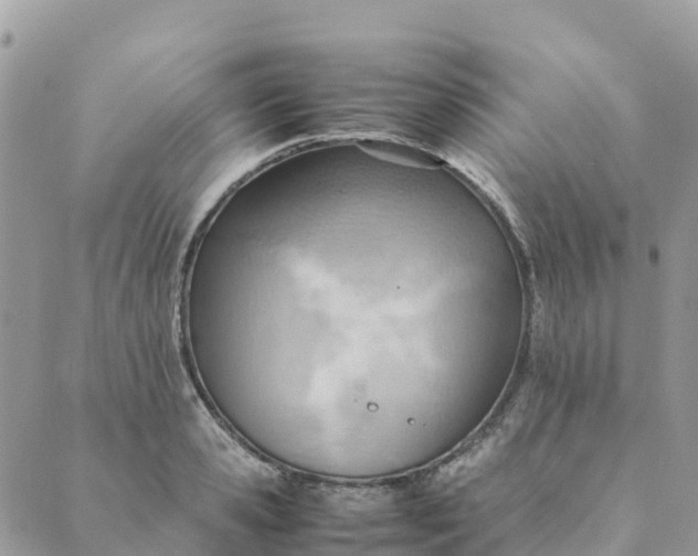 X0000089370941200707061111