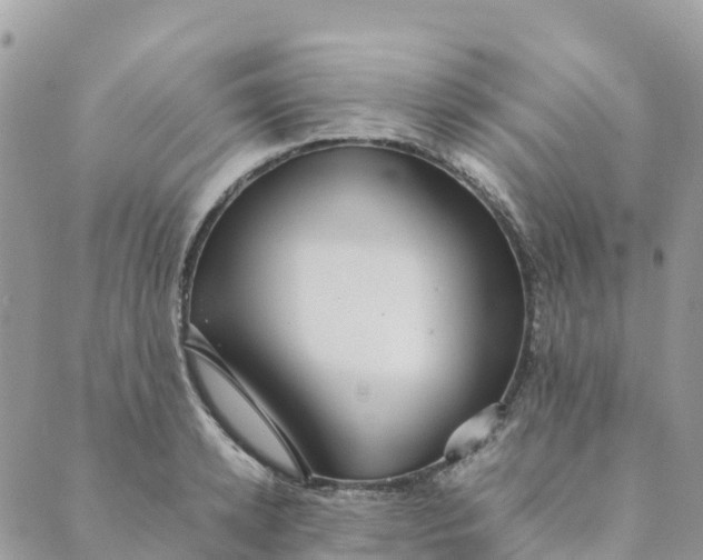 X0000089370942200707061111