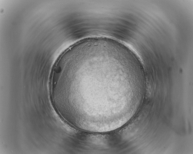 X0000089370943200707061111