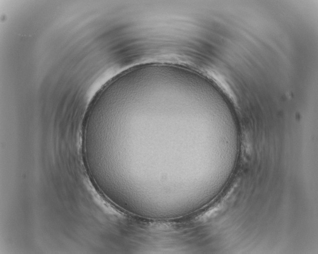 X0000089370944200707061111