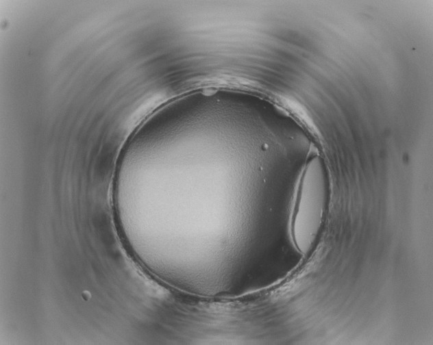 X0000089370946200707061111