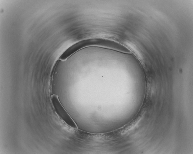 X0000089370948200707061111