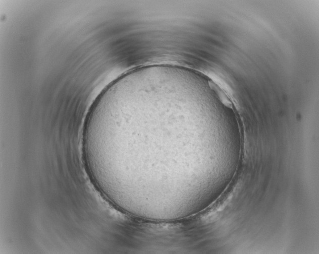 X0000089370949200707061111