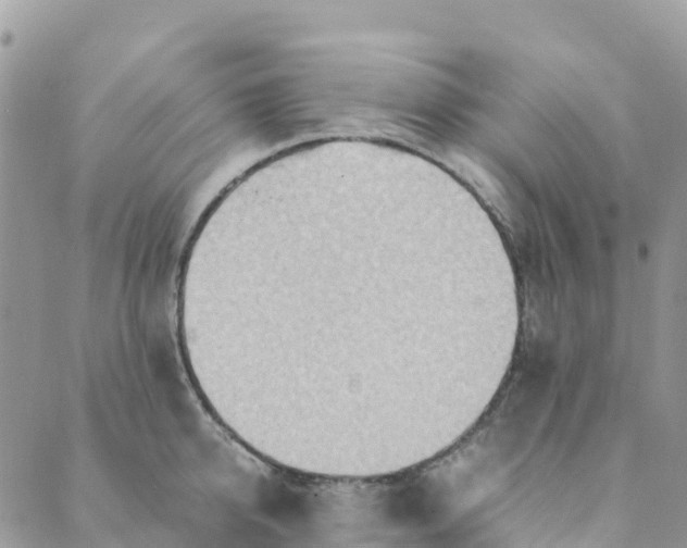 X0000089370950200707061111