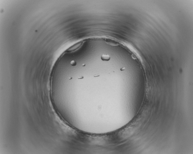 X0000089370951200707061111