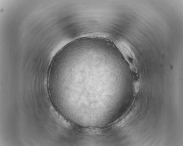 X0000089370952200707061111