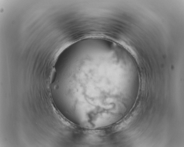 X0000089370953200707061111