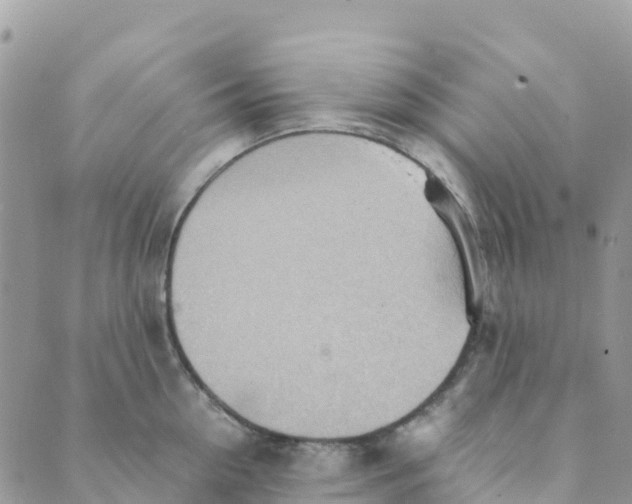 X0000089370954200707061111