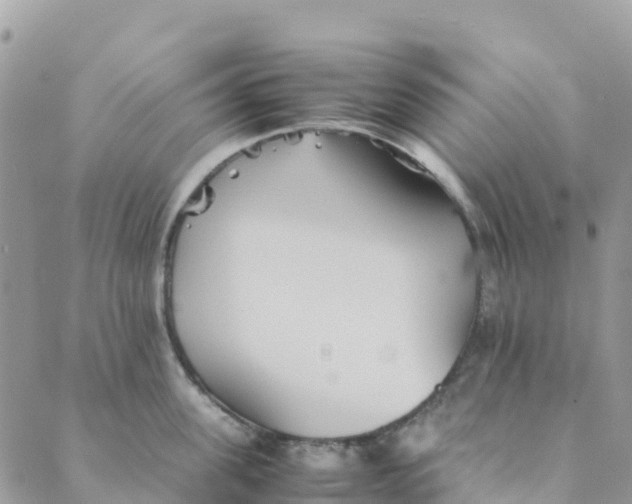 X0000089370955200707061111