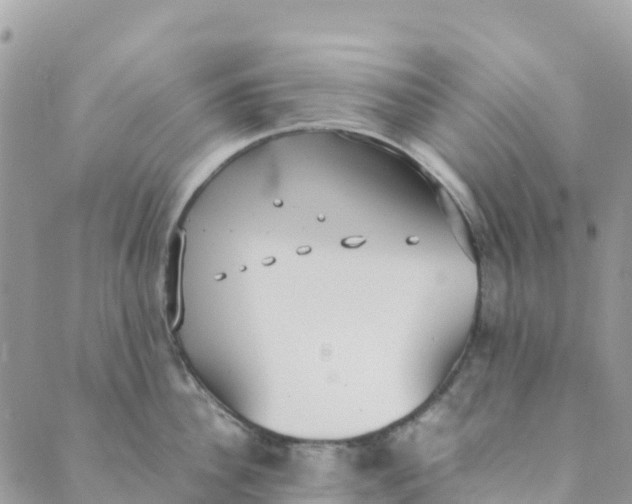 X0000089370956200707061111