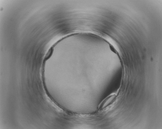 X0000089370958200707061111