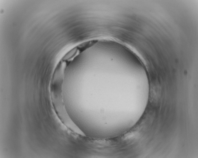 X0000089370959200707061111