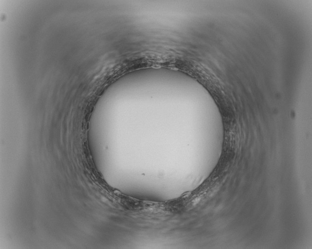 X0000089370961200707061110