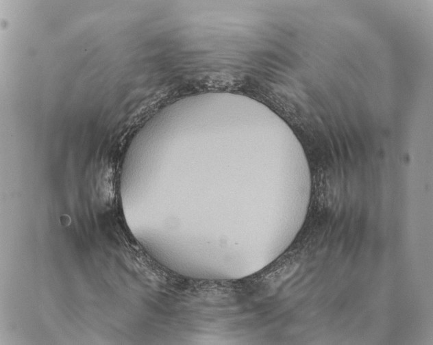 X0000089370962200707061110