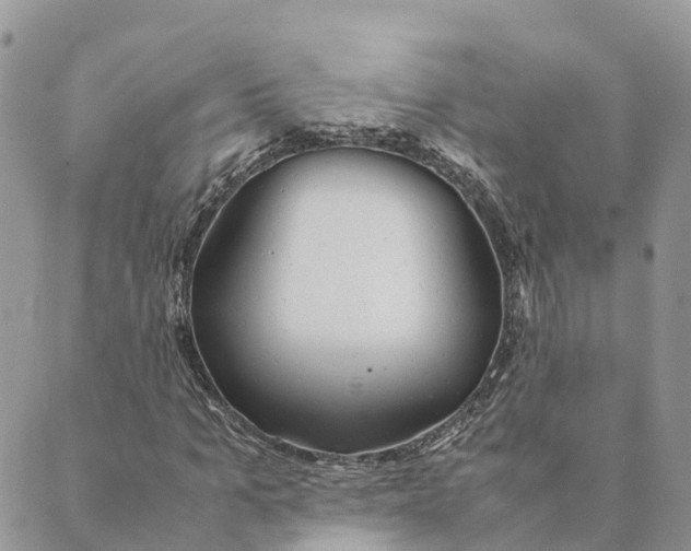 X0000089370965200707061110