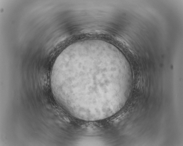 X0000089370966200707061110