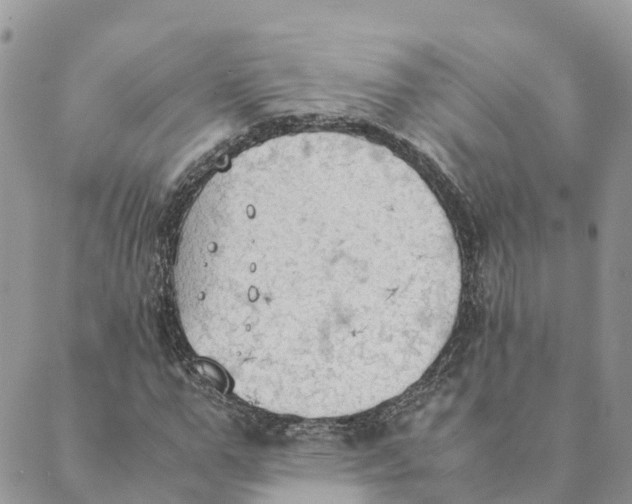 X0000089370967200707061110