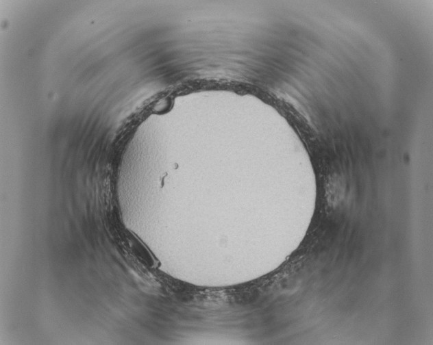 X0000089370968200707061110