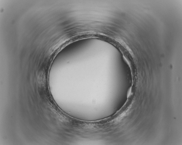 X0000089370969200707061110