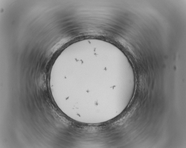 X0000089370970200707061110