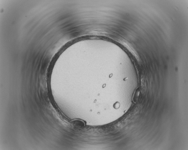 X0000089370972200707061110