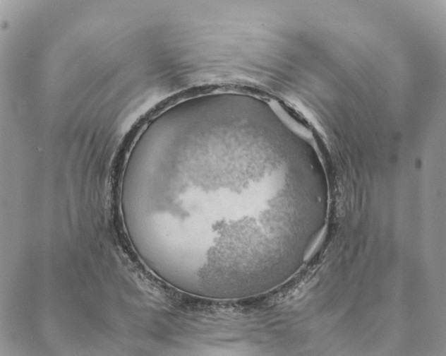 X0000089370975200707061110