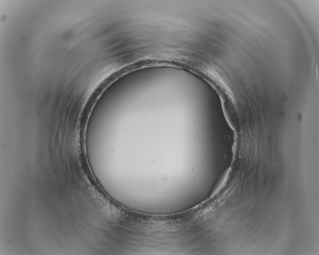 X0000089370976200707061110