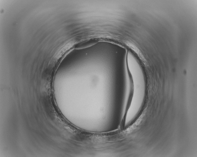 X0000089370977200707061110