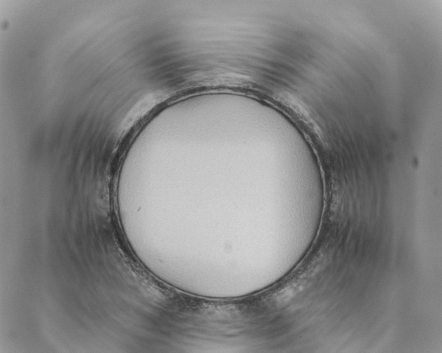 X0000089370978200707061110