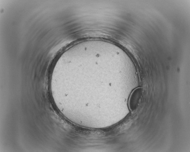 X0000089370979200707061110