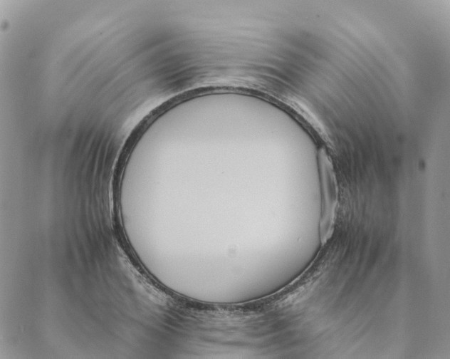 X0000089370980200707061110