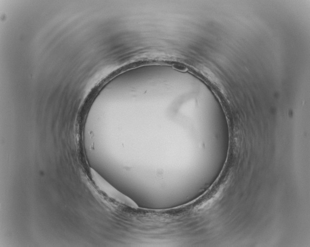 X0000089370981200707061110