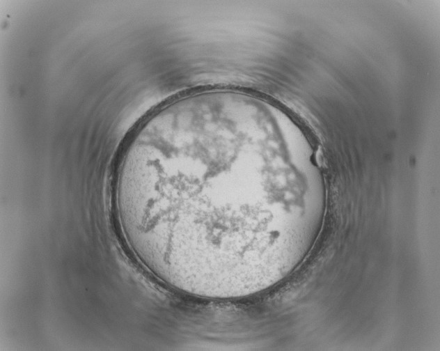 X0000089370983200707061110