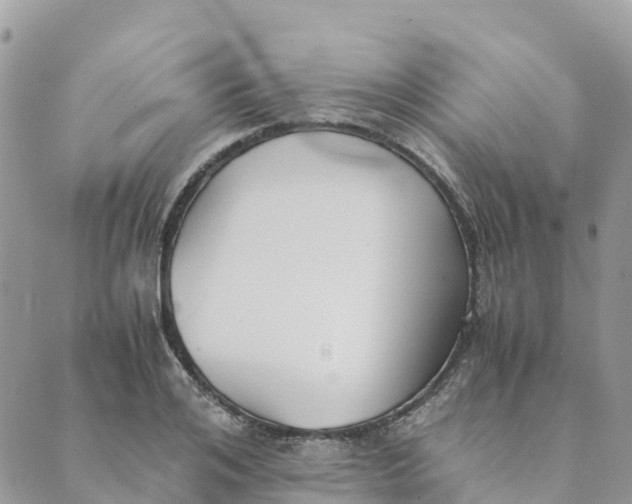 X0000089370984200707061110