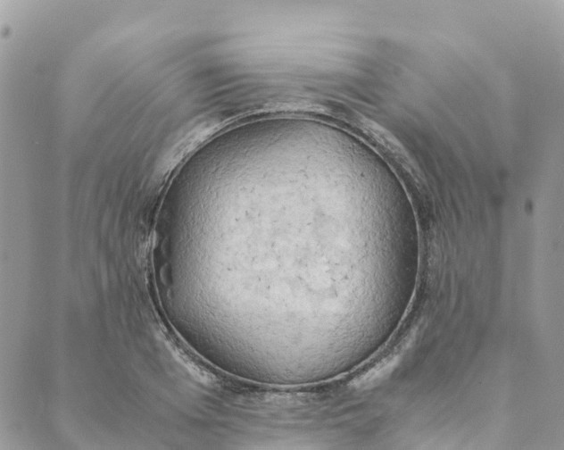 X0000089370985200707061110