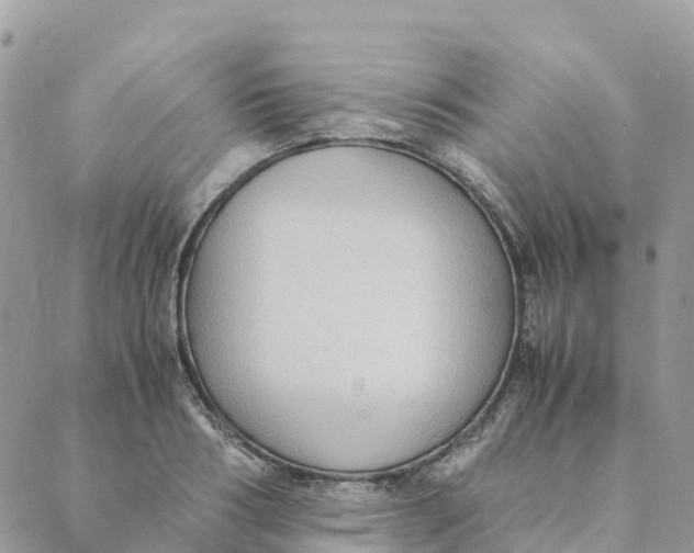 X0000089370986200707061110