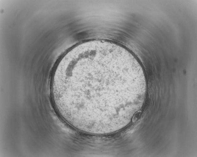 X0000089370987200707061110