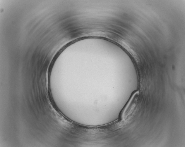 X0000089370988200707061110