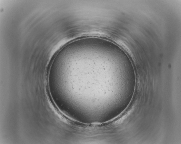 X0000089370989200707061110