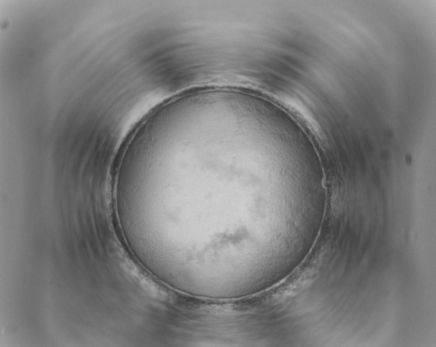 X0000089370990200707061110